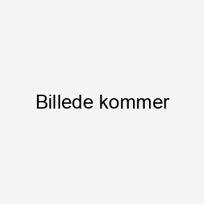 Due n�lefiltet