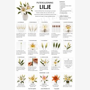 Liljer n�lefiltning