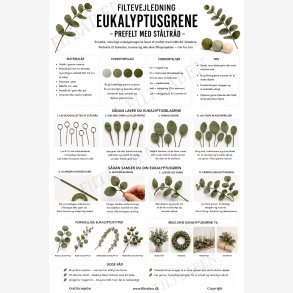 Eukalyptusgrene n�lefiltning