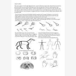 Hj�lp til n�lefilt