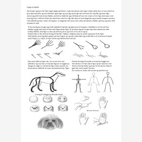 Hj�lp til n�lefilt