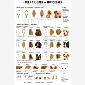 Hunde �rer n�lefiltning
