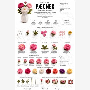 P�oner n�lefiltning