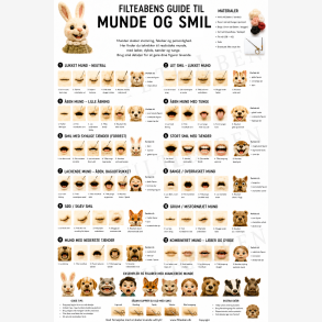 Mund 1